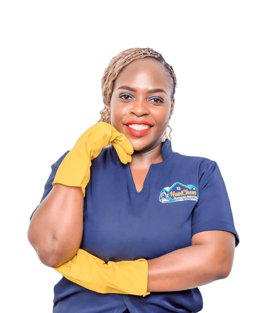 HaviChem Cleaning Services Professional