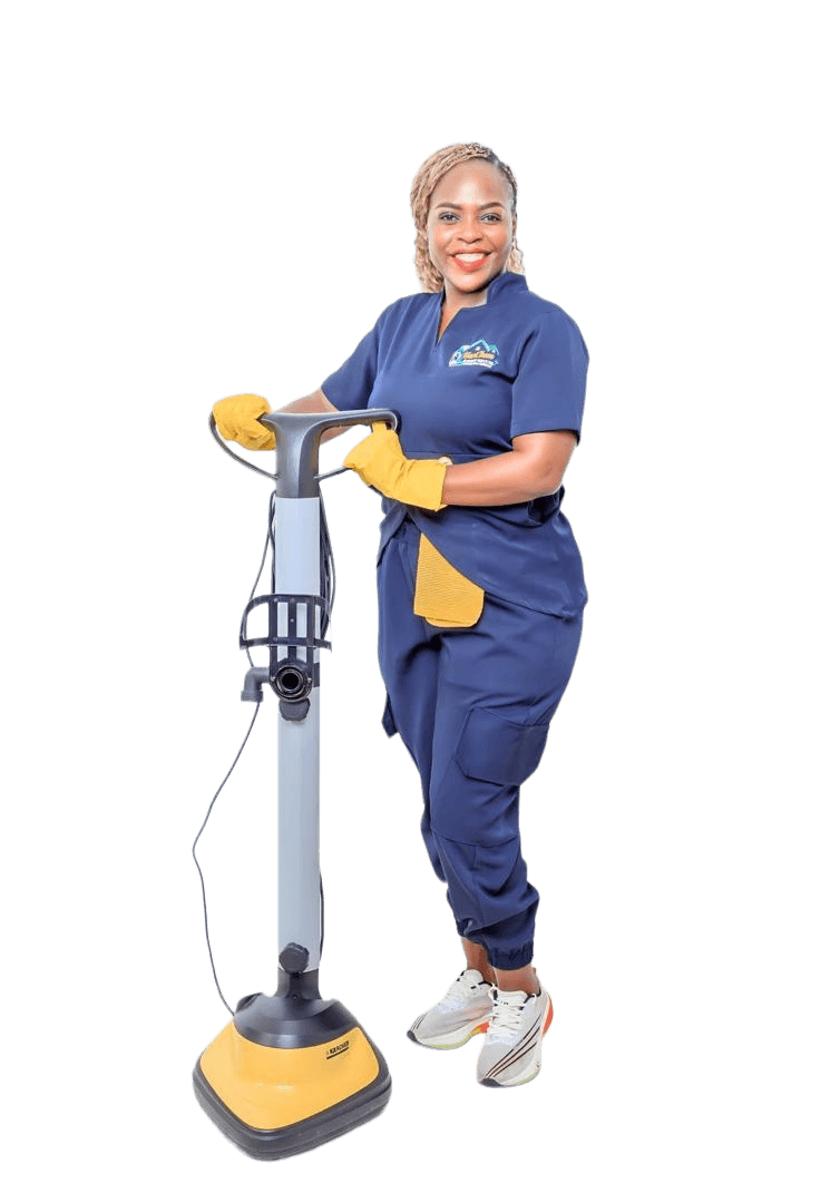 Professional HaviChem Cleaning Services specialist